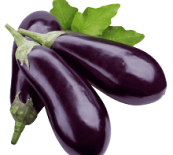 Long Eggplants