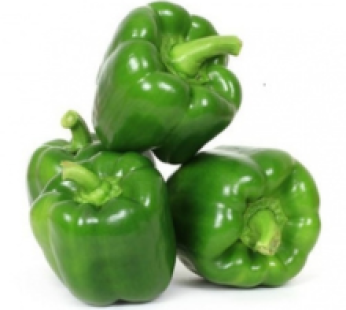 Capsicum