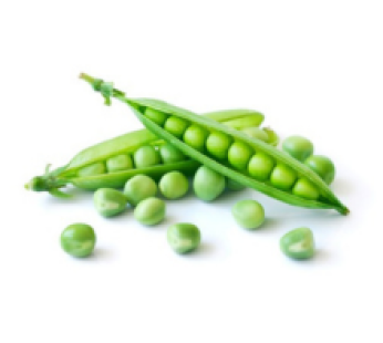 Good Quality Green Peans (Grade A)